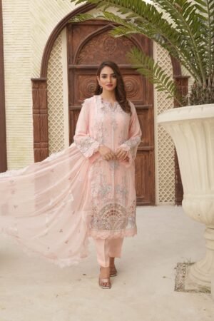Blush Pink Fancy Chiffon 3 Pc [Pret]